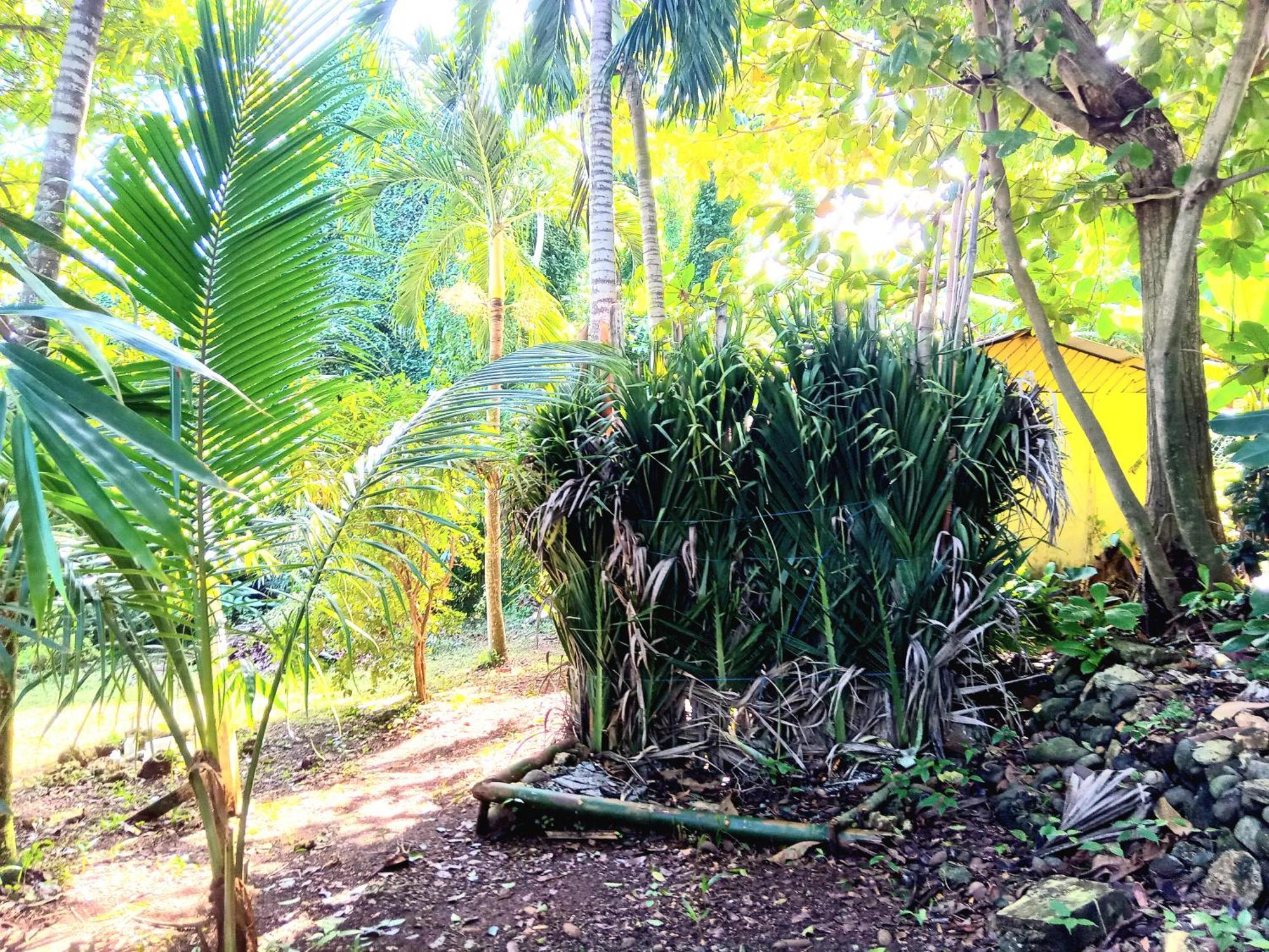 La Familia Guest House And Natural Farm بورت أنطونيو المظهر الخارجي الصورة